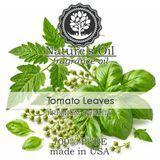 Аромамасло Nature's Oil - Tomato Leaves (Томатная зелень), 5 мл NO138