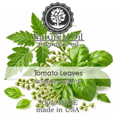 Аромамасло Nature's Oil - Tomato Leaves (Томатная зелень), 100 мл NO138