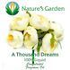 Аромамасло Nature's Garden - A Thousand Dreams (Тысяча мечт), 5 мл