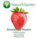 Аромамасло Nature's Garden - Strawberry Passion (Клубничная сладкая вата), 100 мл
