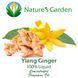 Аромамасло Nature's Garden - Ylang Ginger (Иланг-иланг с имбирем), 100 мл